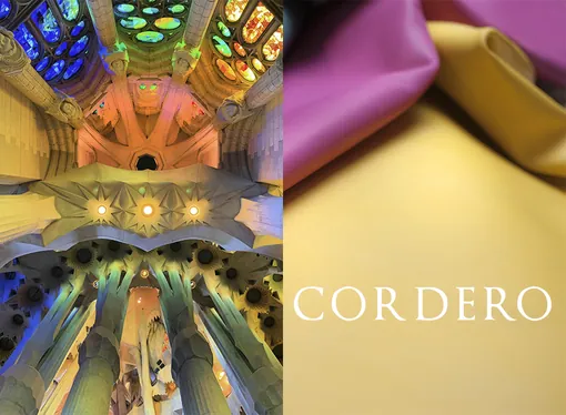 Cordero